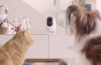IFA 2016: a Pawbo+ segít házi kedvenceink távoli felügyeletében